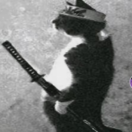 🅱️7️⃣7️⃣