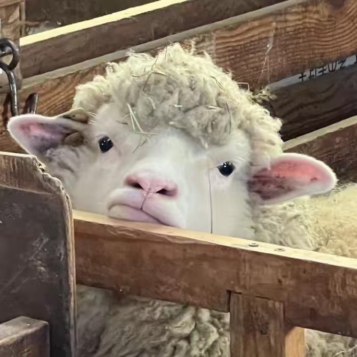 ธารวิมล