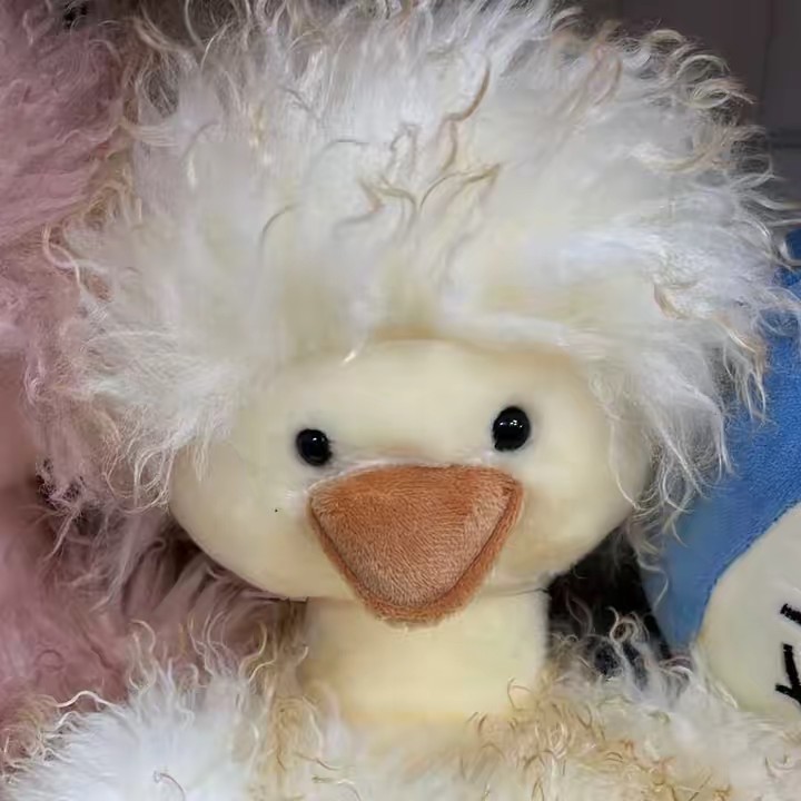 ✨Vịtt Rìi Viuu✨