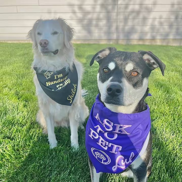 🐶 Shiloh and Lulus World 🐶