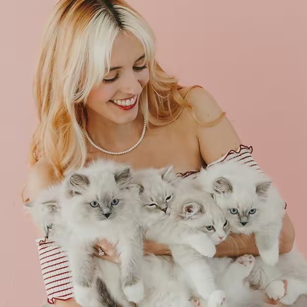 Pearl’s Ragdolls