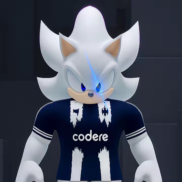 ️Sonic Rayado ⚡️