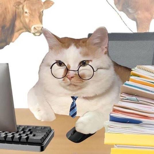 ทามไทยไร้พ่าย.