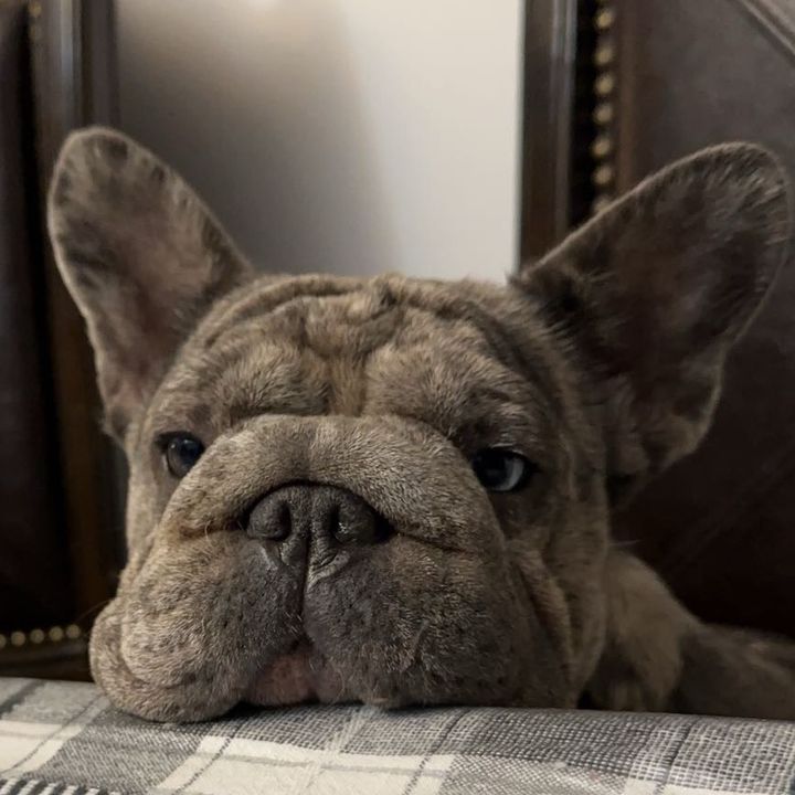 Sari&Kris Spam 📸🤫