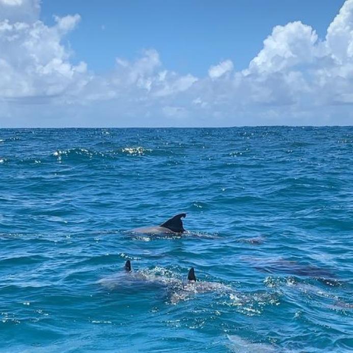 (( 🌊⭐️OUTFITS🌴💗))