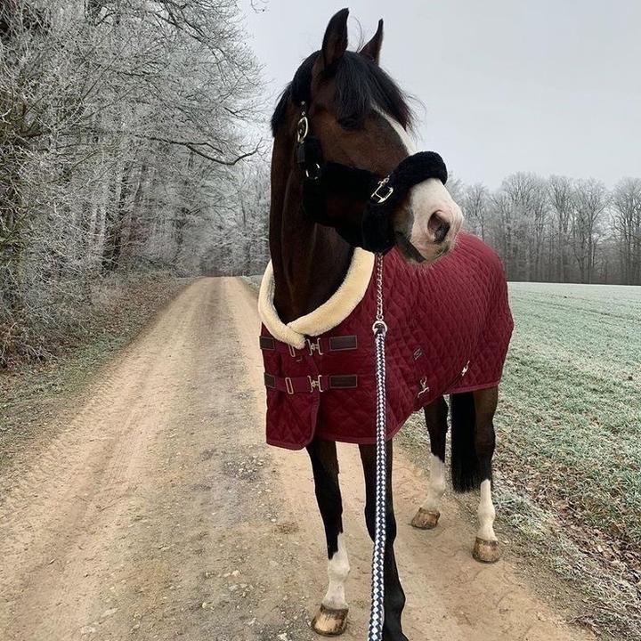 ⛸️ - 𝐬𝐚𝐝𝐢𝐞 !!