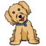 WeLoveDoodlesShop