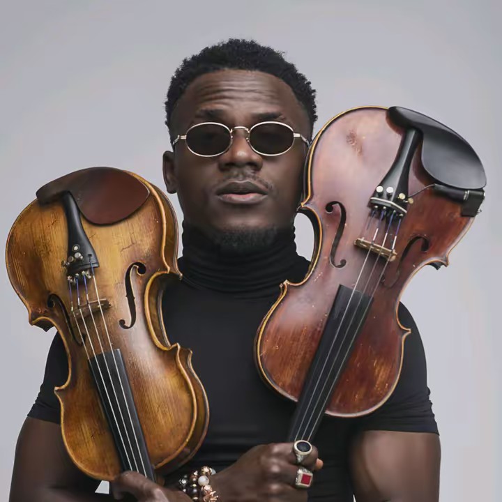 demolaviolinist