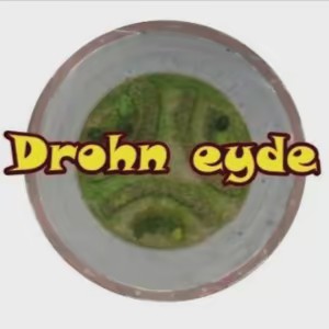 Drohneyde