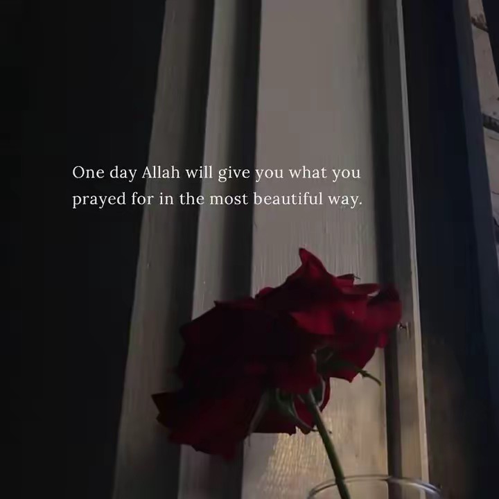 𝑻𝒐𝒏𝒅𝒊♛