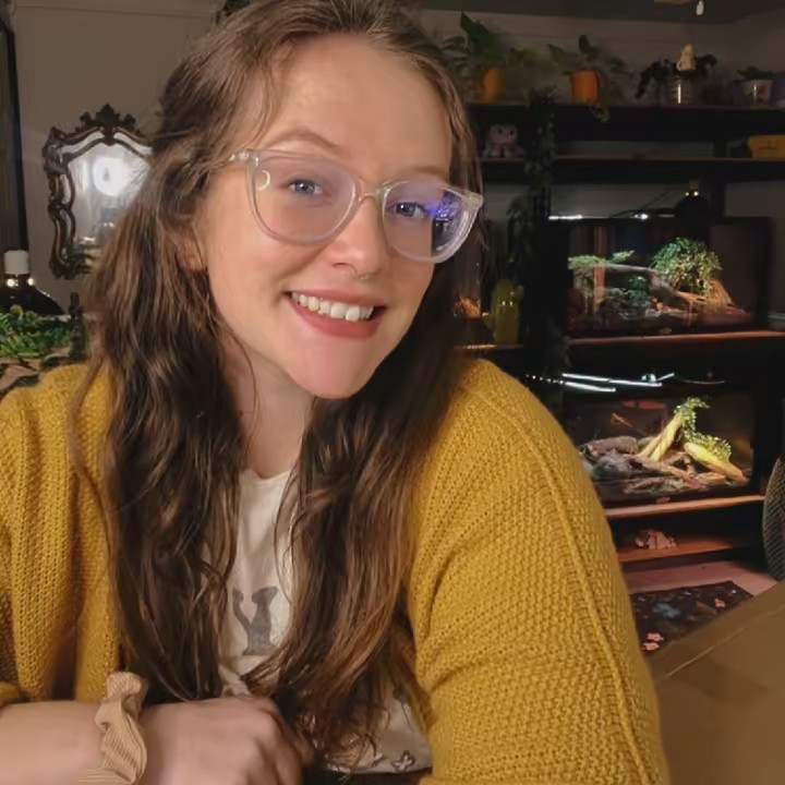 Sydney | Leopard Gecko Keeper