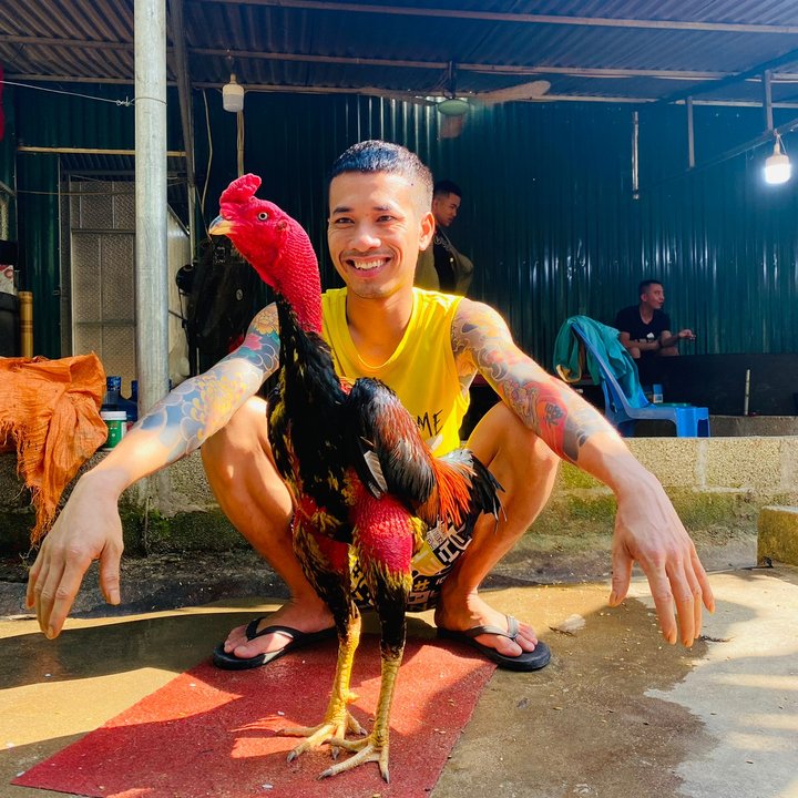 Chương Gà Chọi 21