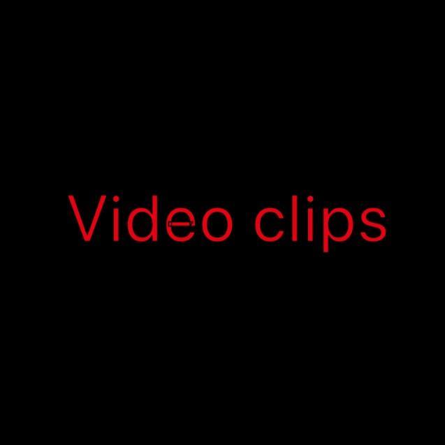 vidclips100