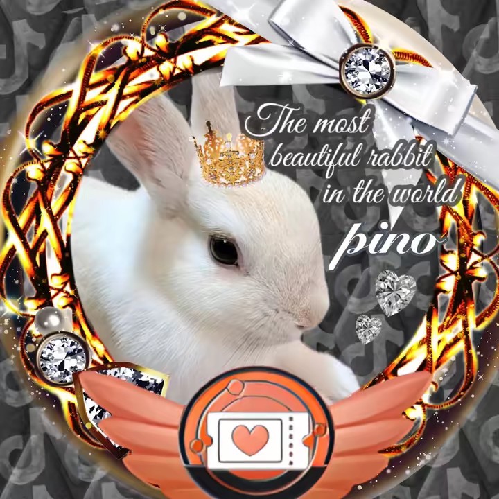 日本兎愛好会会長👼🏻🐇👑