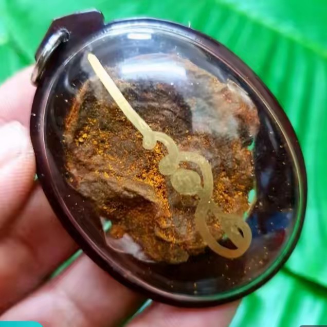 รกแมวมหาลาภ