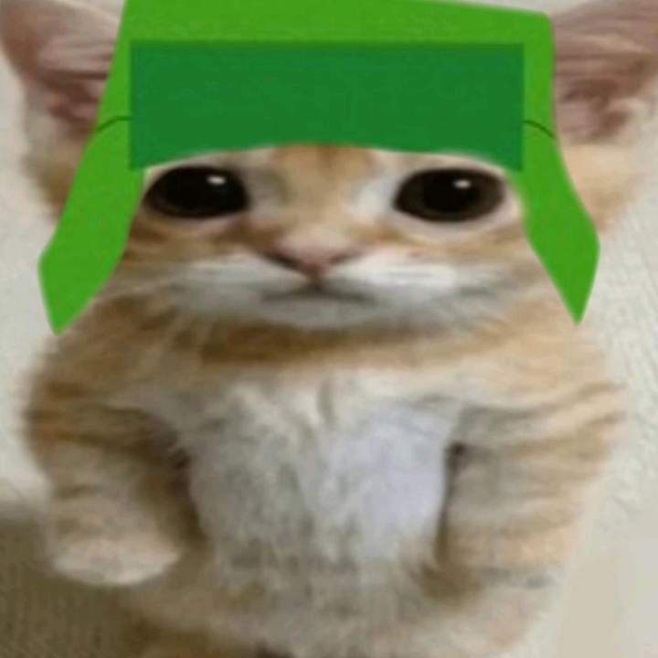 ☆кувшинка¹³²☆