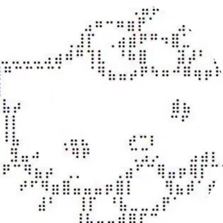 เเมวส้มหาตัง