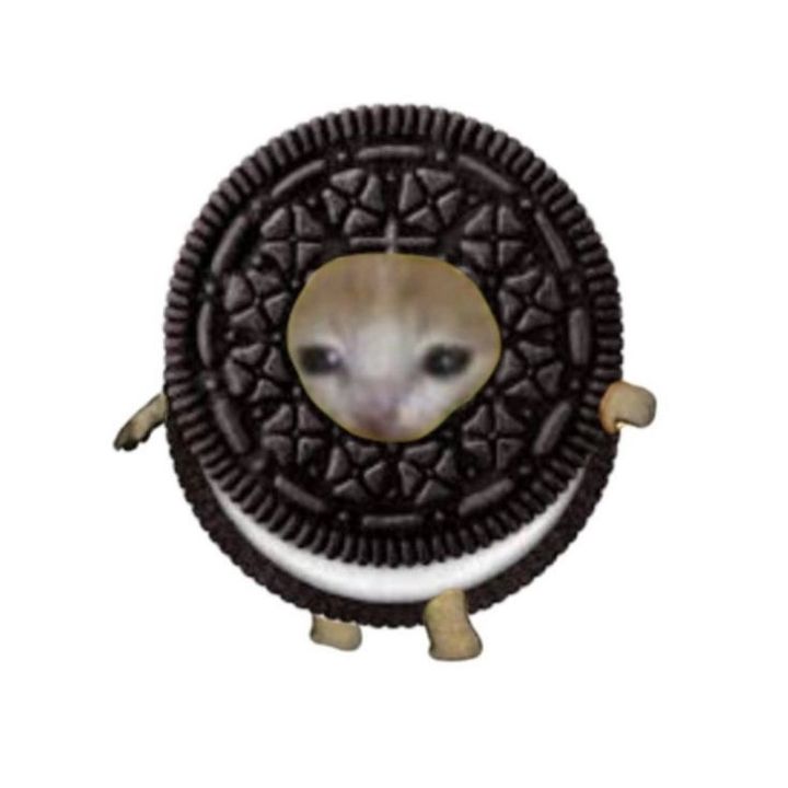 𝐈𝐒𝐀𝐁𝐄𝐋☮︎︎