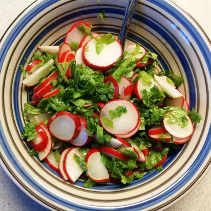 insalata