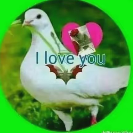 Angela Rodríguez 😁