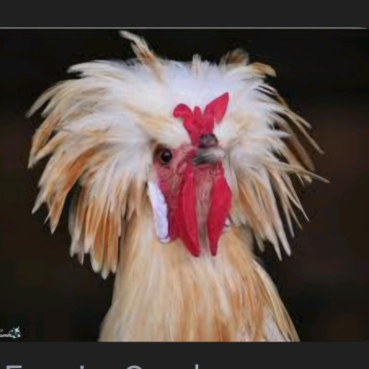 🌘JASONROLLINS 1 🌒