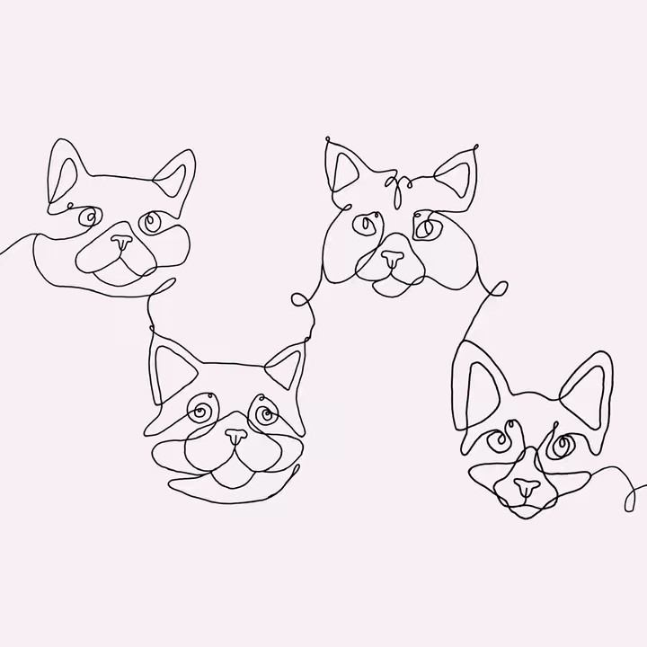 Balu Snoopy Cosmo & Apollo