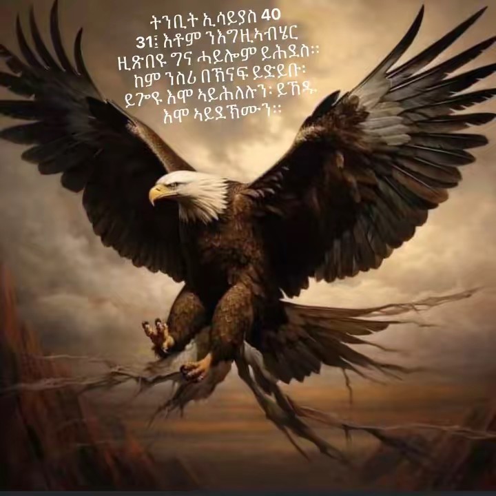 ፍዮሪ ናይ የሱስ❤️🇪🇷🇩🇰❤️