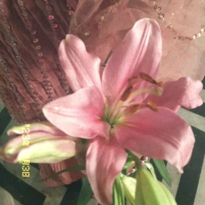 𝐜𝐢𝐞𝐧𝐧𝐚 🎼