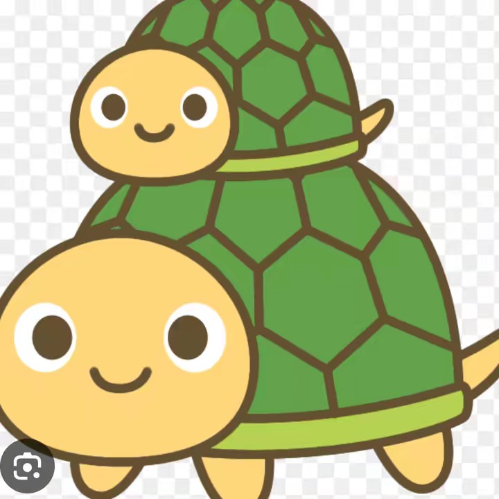 🐢亀田のずん🐢