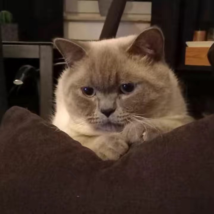 🌺🤍Aylin🤍🌺