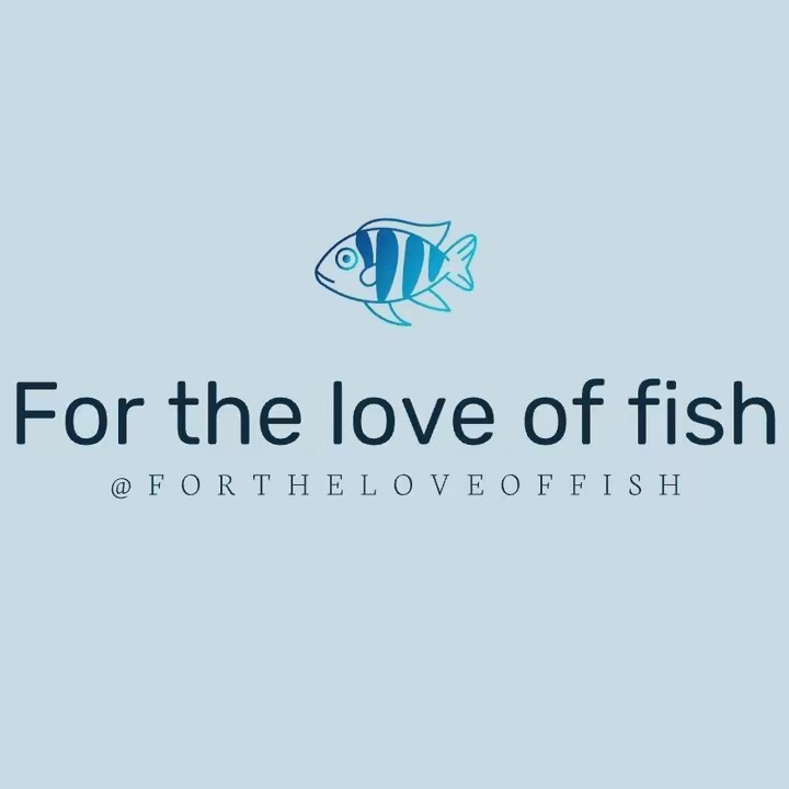 for the love of fish