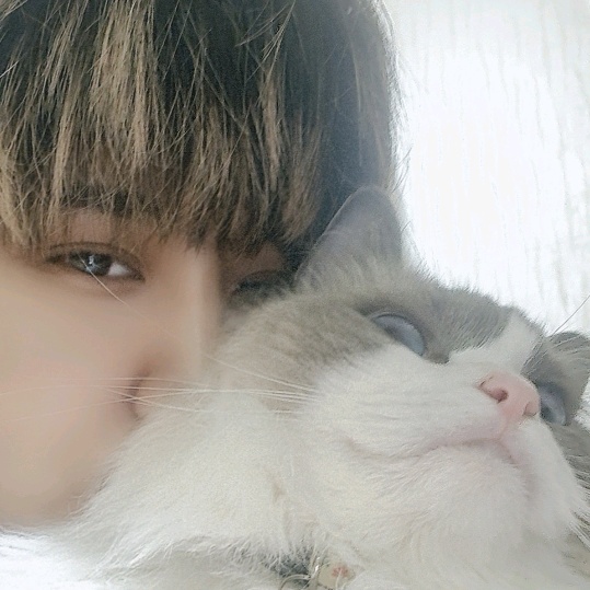 ・❥・เจ้าแมว 🐈‍⬛🐾