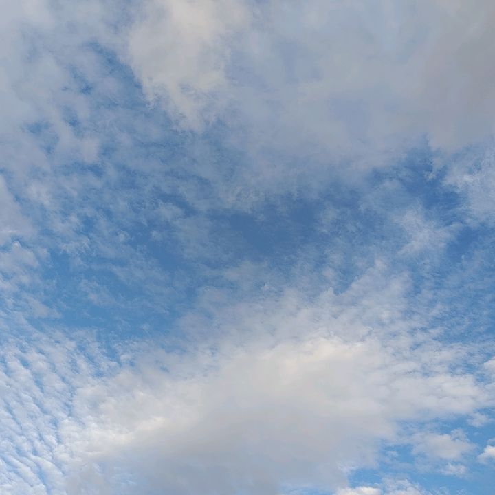 🇵🇸Light🇵🇸