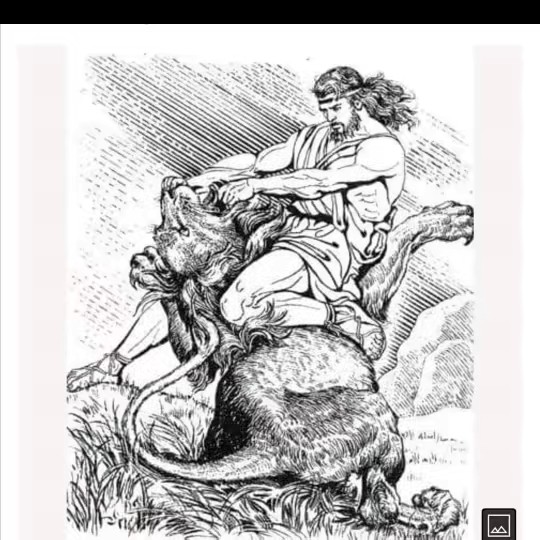 Ahmad🤍🖤💚👑💯🕊🐯