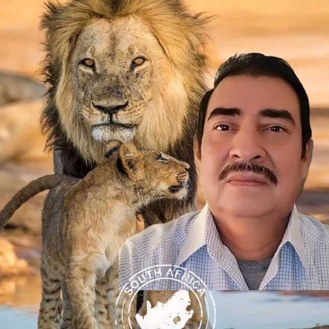 AMIGO de todos presente👍 🧨🎇