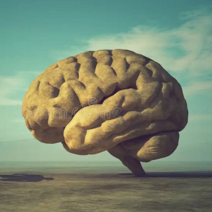 💲💲💲Brain boy@@@