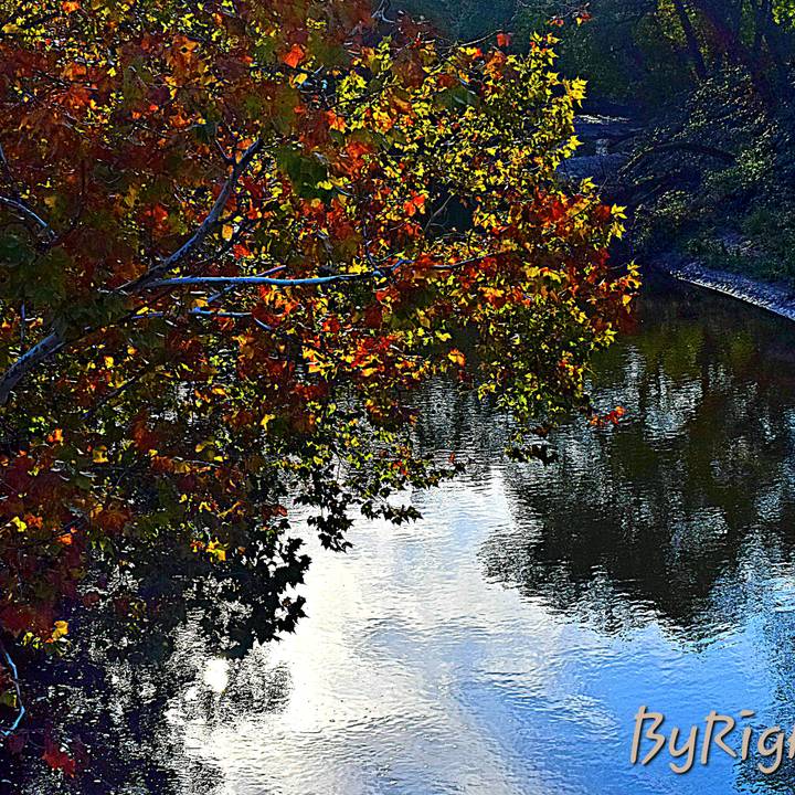 Photography by Mindy