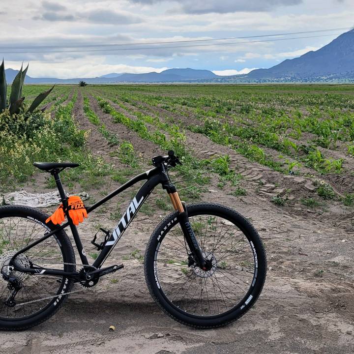 Ingeniero Marco Antonio N. Mtz