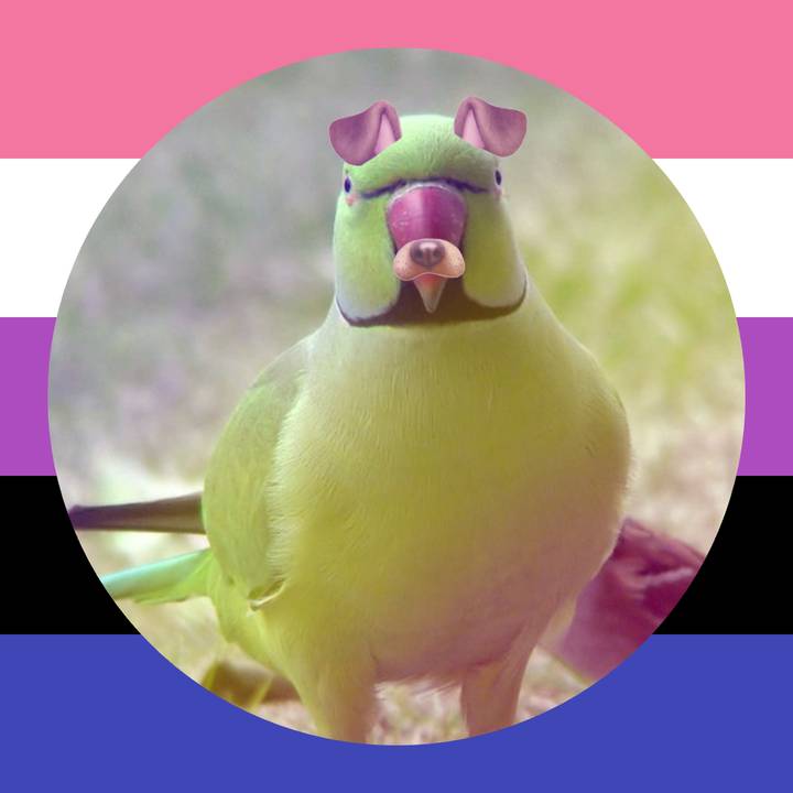 🥝•Сⷫаⷪлⷫфꙷеⷢтⷶкꙵа•🦜