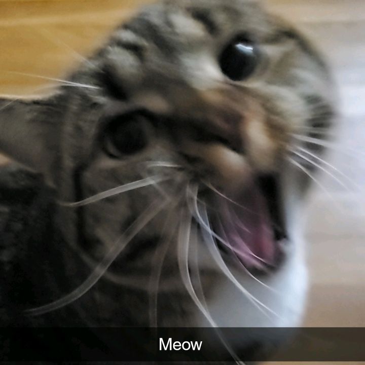 𖣂Jamal💸🎧𖣂