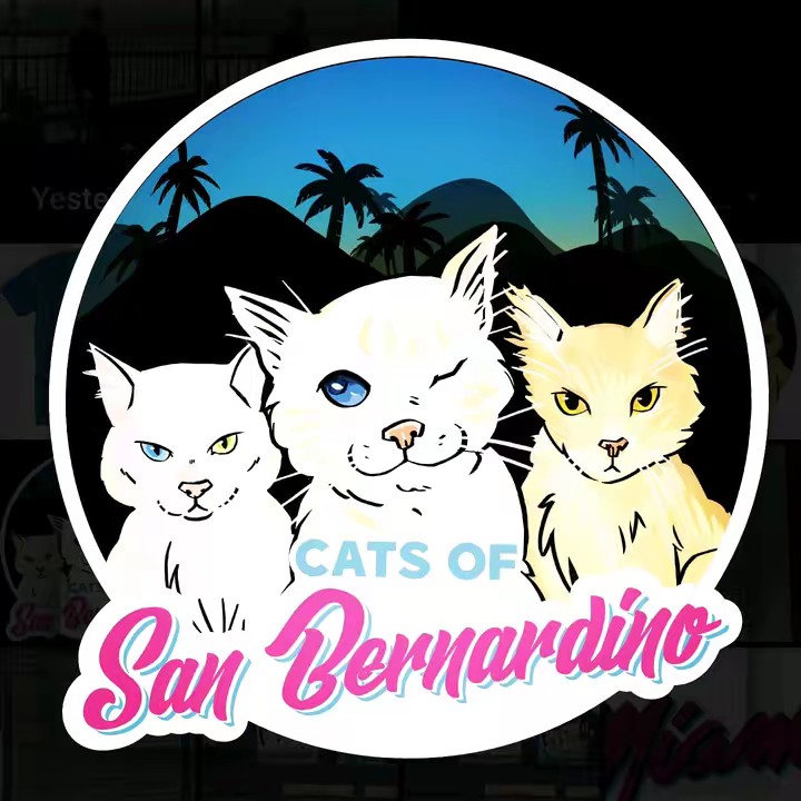 catsofsanbernardino