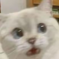 •𝘐𝘯𝘬𝘺•