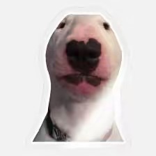 𝐼 𝒜𝑀 𝐸𝒟𝐼𝒯𝒯 ☜