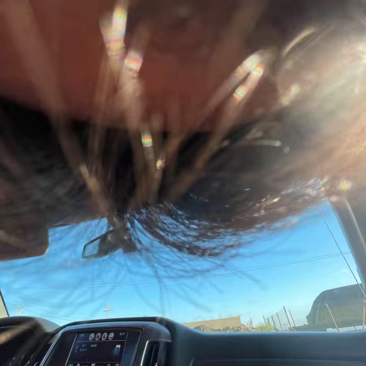 Silly Fer !! 🫐🪉