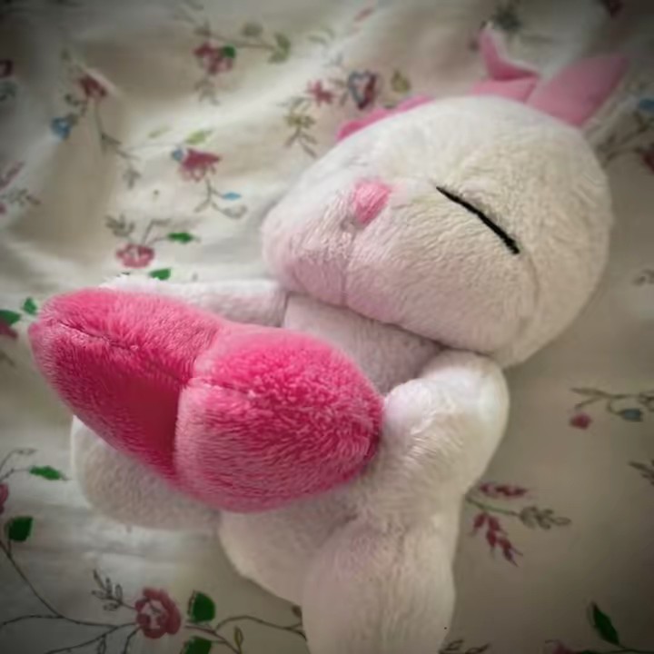 หนูชอบรีวิว⊹ ᯓᡣ⌗