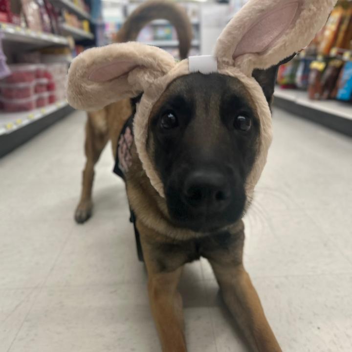 that1chronicillnessgirl