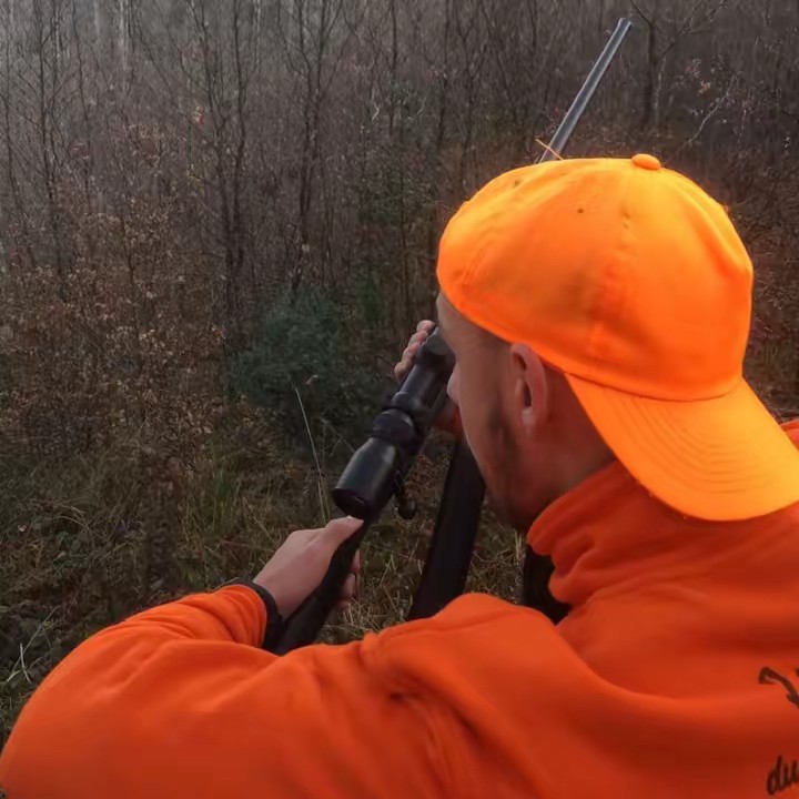 Les hurleurs dû montreich