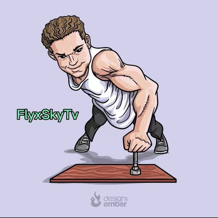 PrinceFlySky