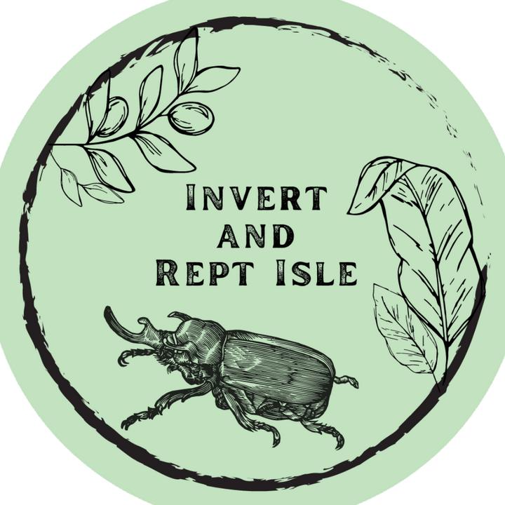 Invert_and_rept_isle