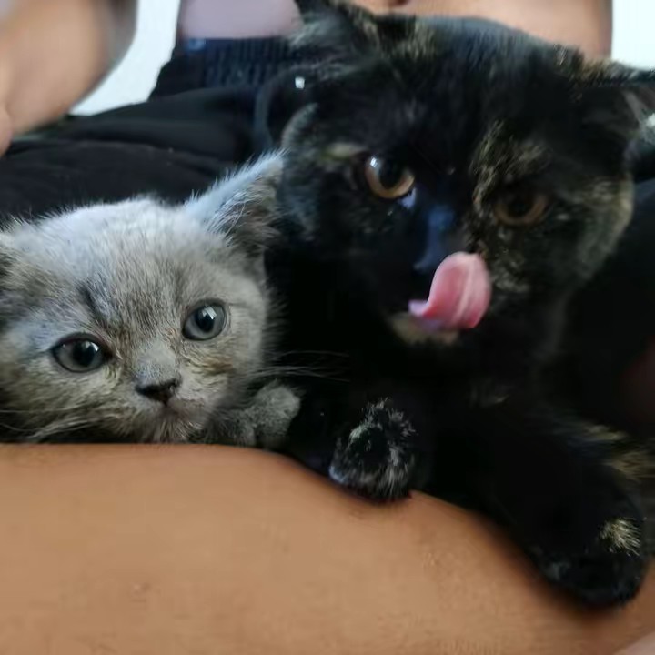 Akira et Minato 😻😻😻